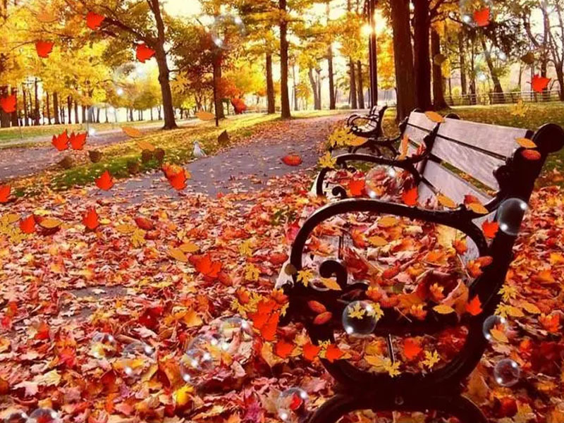 Өнгөрөгч есдүгээр сар 1940 оноос хойш тохиолдсон 10 дахь дулаан сар боллоо